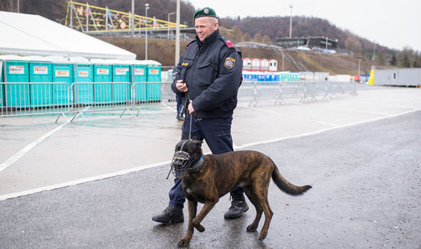 الشرطة النمساوية , الكلاب البولوسية , الخطوط التركية