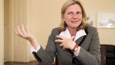 كارين كنايسل , وزيرة الخارجية النمساوية