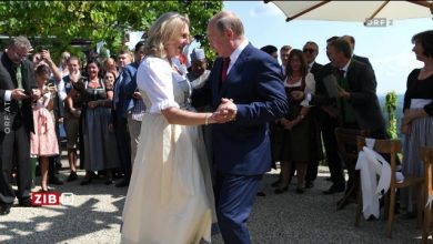 كارين كنايسل, فلاديمير بوتين, بوتين يرقص, الخارجية النمساوية