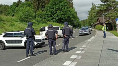 الشرطة النمساوية, جريمة في في النمسا