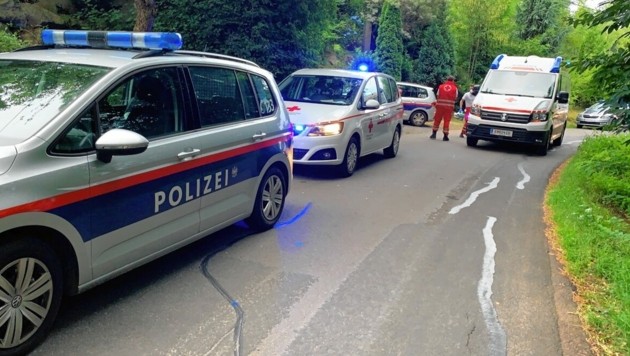 رجل يقتل والدته في النمسا, الشرطة النمساوية