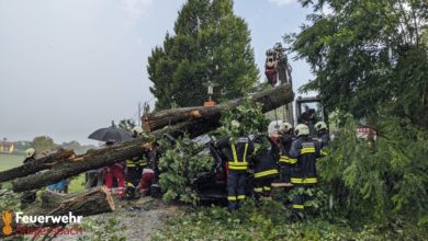 سقوط شجرة على سيارة وتدخل الدفاع المدني النمساوي