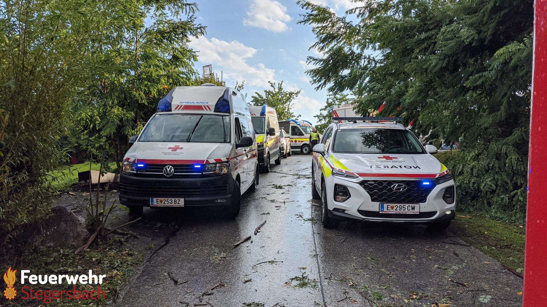 سقوط شجرة على سيارة وتدخل الدفاع المدني النمساوي