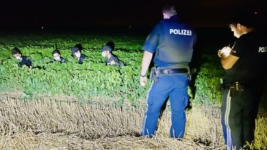 اللاجئون، اللجوء والشرطة وحرس الحدود في النمسا
