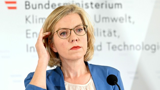 جفيسلر، وزيرة الطاقة النمساوية