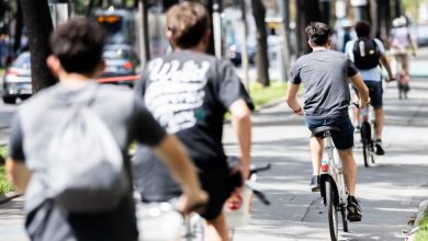 عدد راكبي الدراجات الهوائية في فيينا يصل لمستويات قياسية